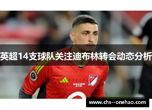 英超14支球队关注迪布林转会动态分析
