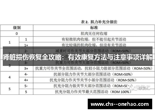 肾脏损伤恢复全攻略：有效康复方法与注意事项详解