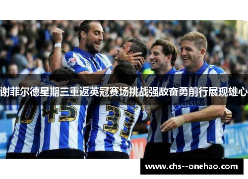 谢菲尔德星期三重返英冠赛场挑战强敌奋勇前行展现雄心