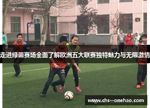 走进绿茵赛场全面了解欧洲五大联赛独特魅力与无限激情
