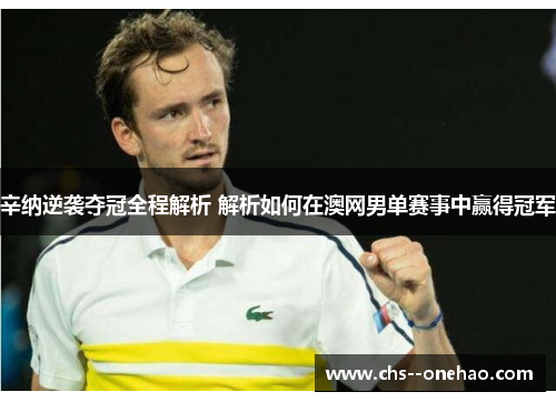 辛纳逆袭夺冠全程解析 解析如何在澳网男单赛事中赢得冠军